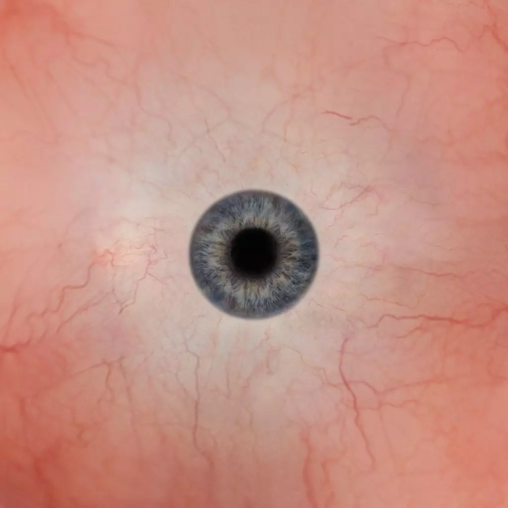 Male body  3D model_0