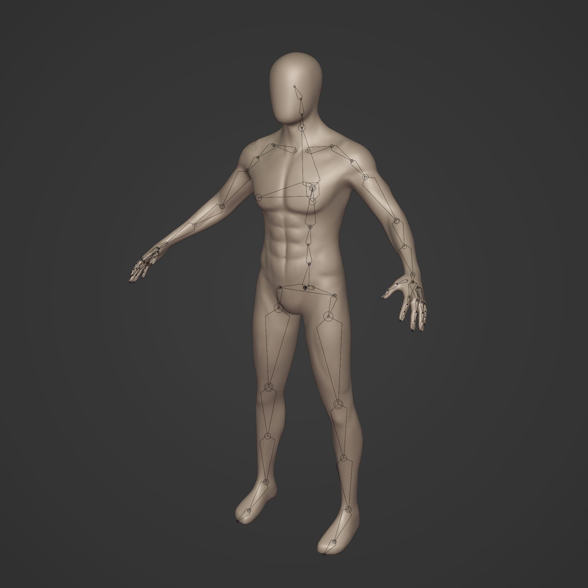 Rigged Character with FK and IK Rig Low-poly 3D model_3