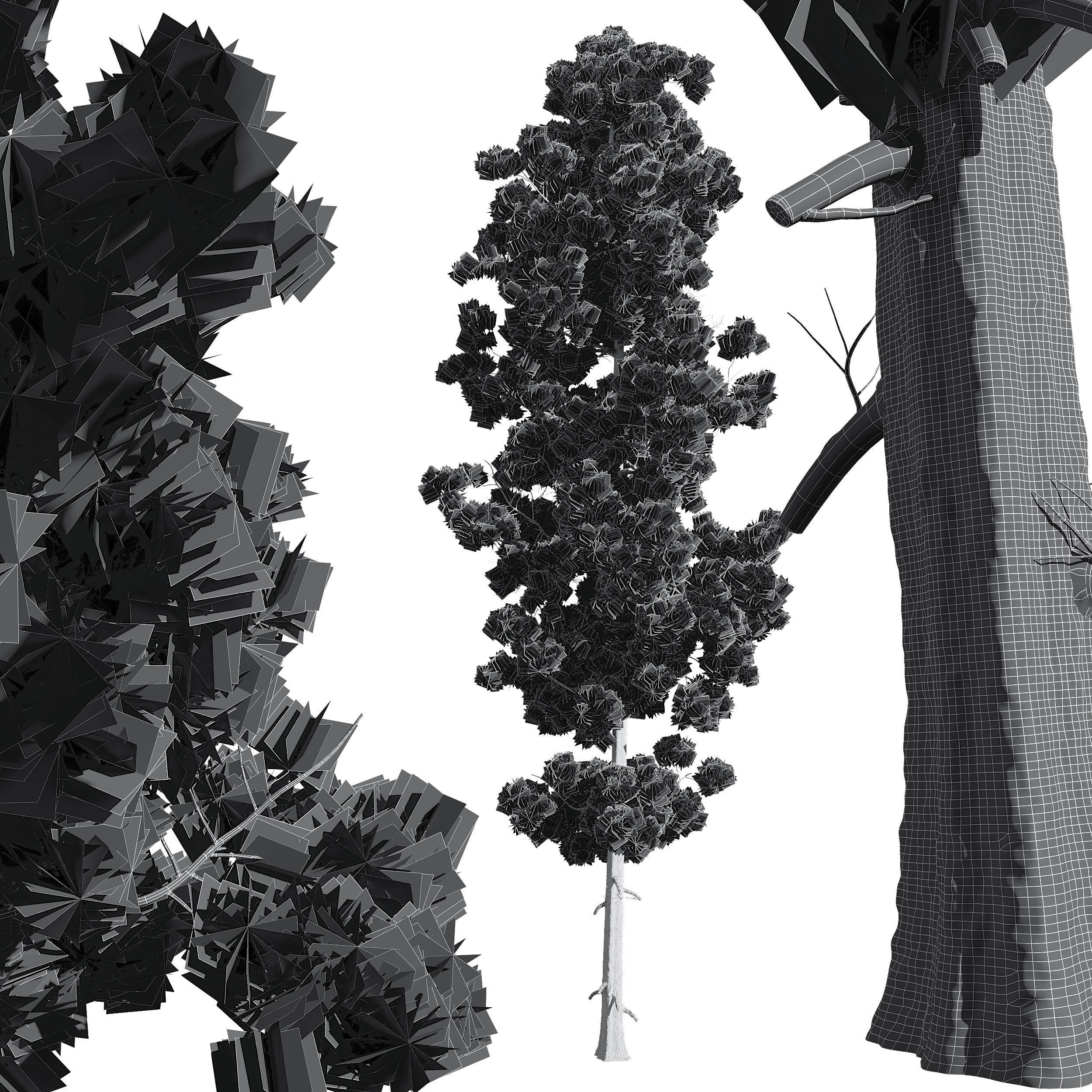 Sphaeropteris Lepifera and Pinus Palustris 3D model_5