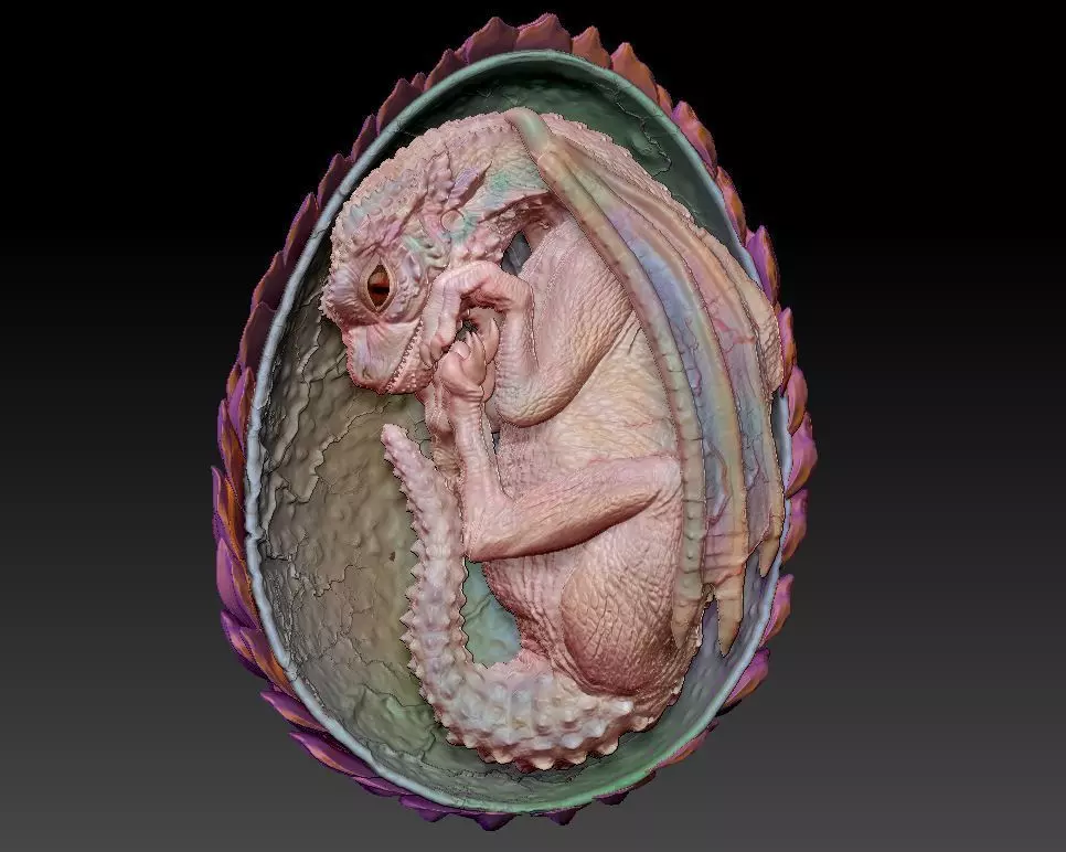 Baby dragon  3D print model_0