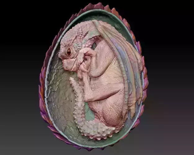 Baby dragon  3D print model