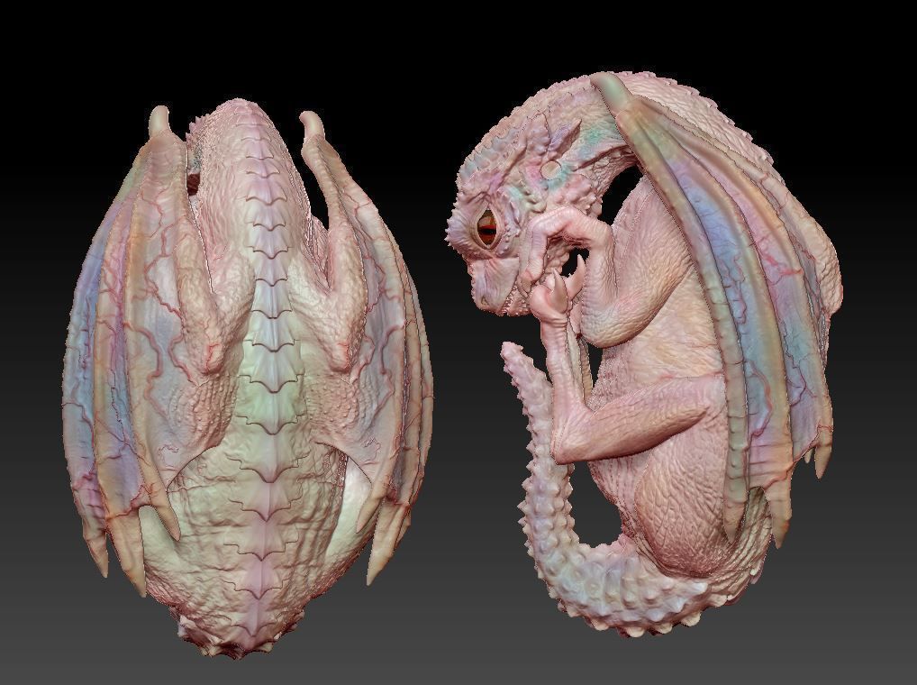 Baby dragon  3D print model_3