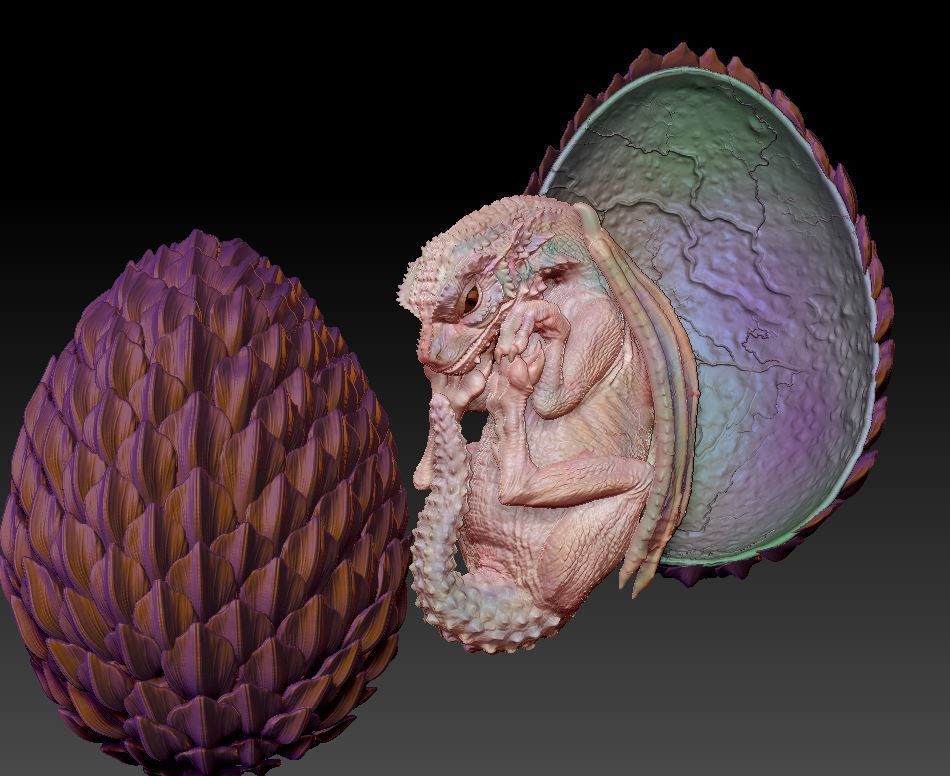 Baby dragon  3D print model_2