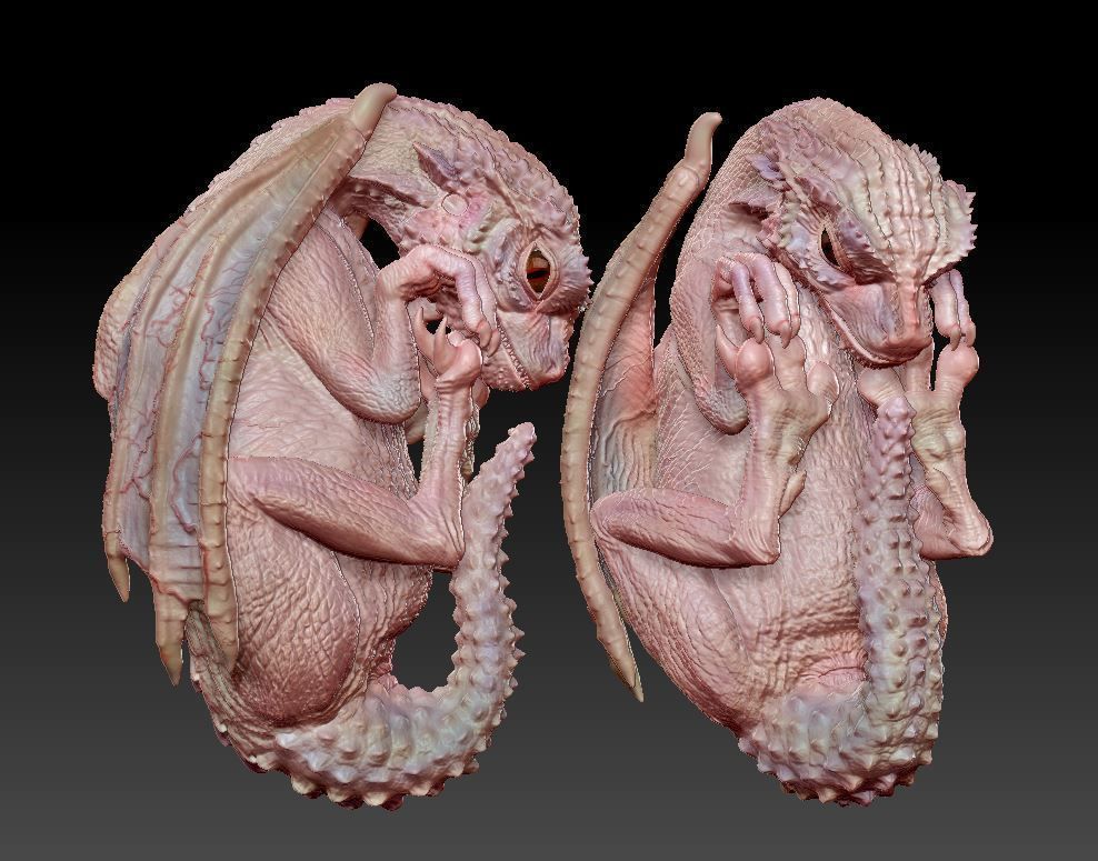Baby dragon  3D print model_4