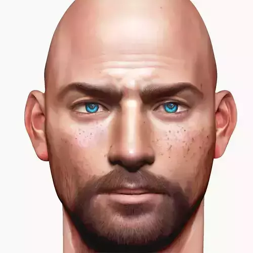 Male head Realistic Perfect Head Low-poly 3D model game ready Low-poly 3D model
