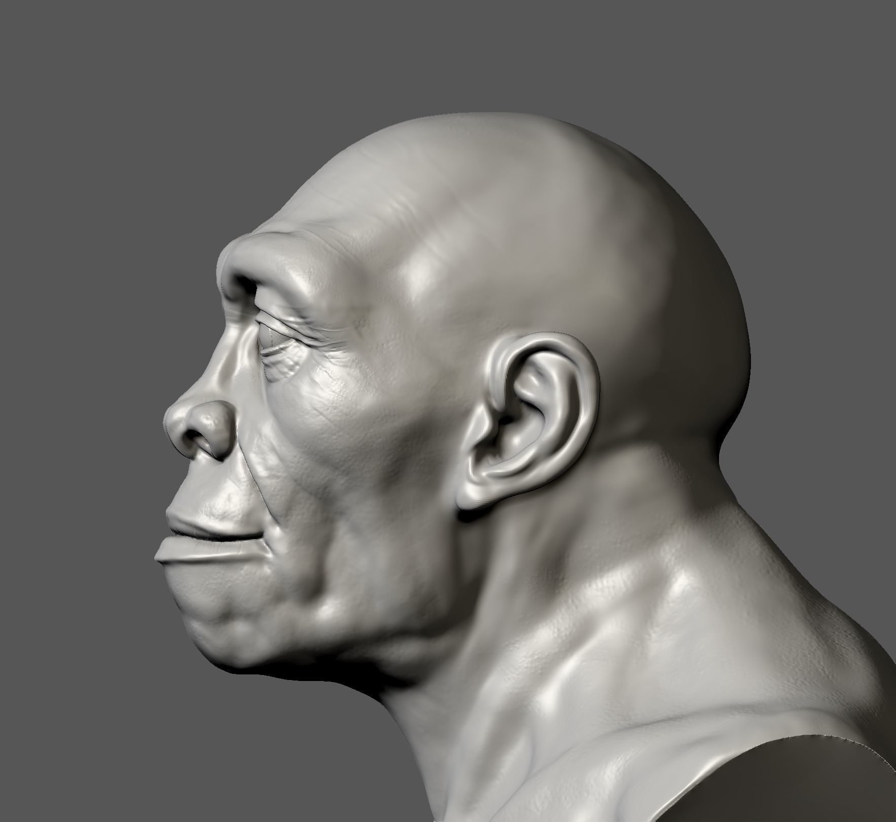 Homo erectus 3D print model_1