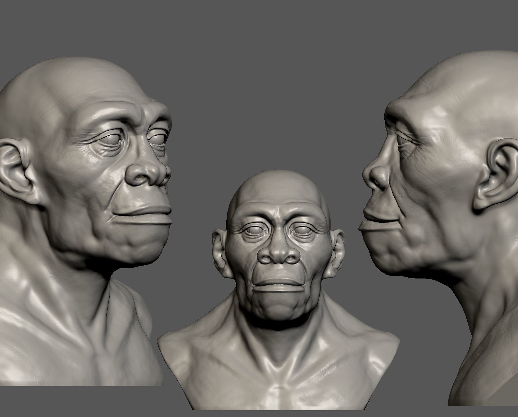 Homo erectus 3D print model_3
