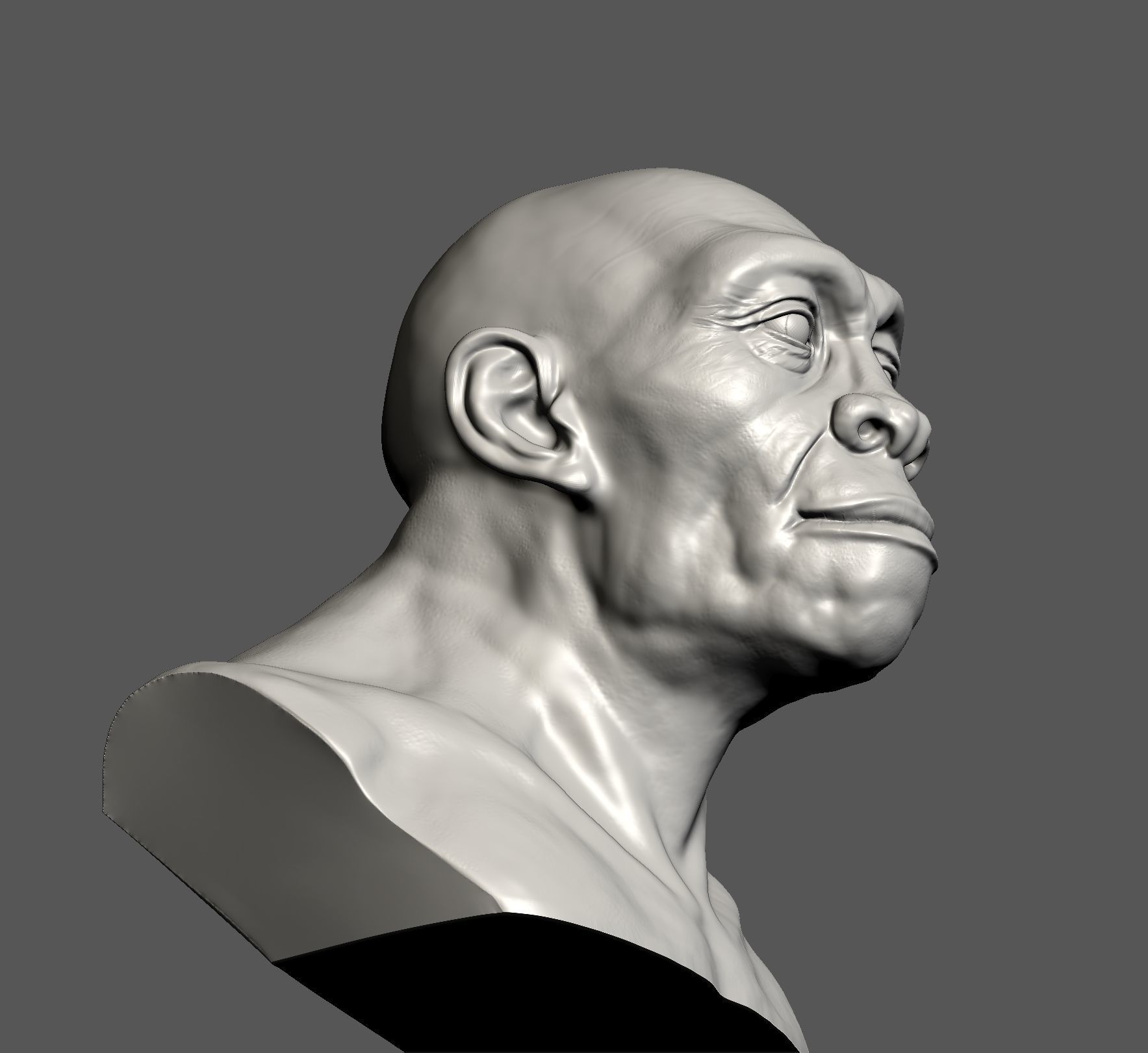 Homo erectus 3D print model_9
