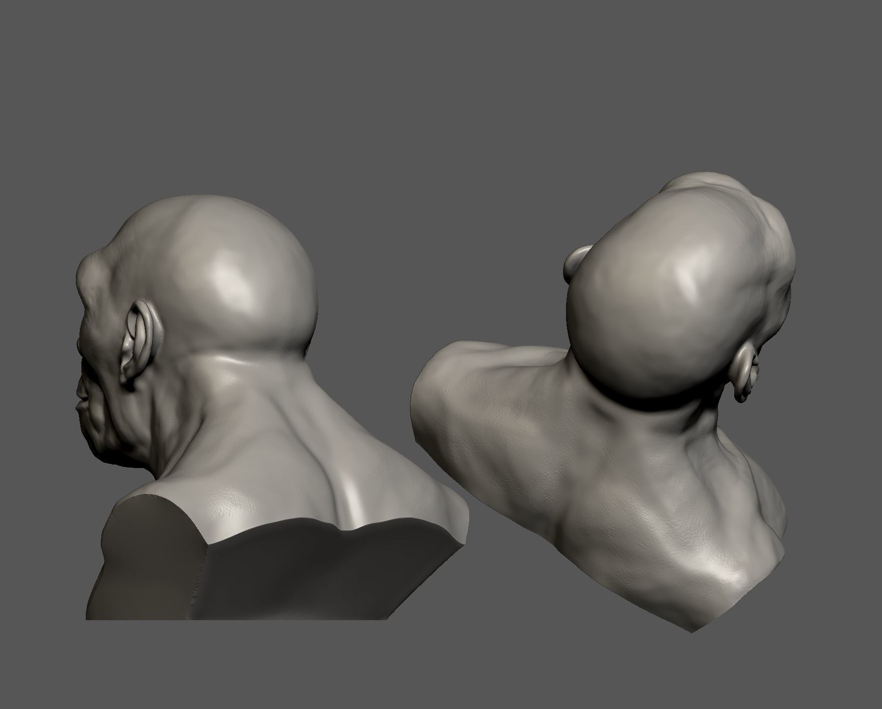 Homo erectus 3D print model_11