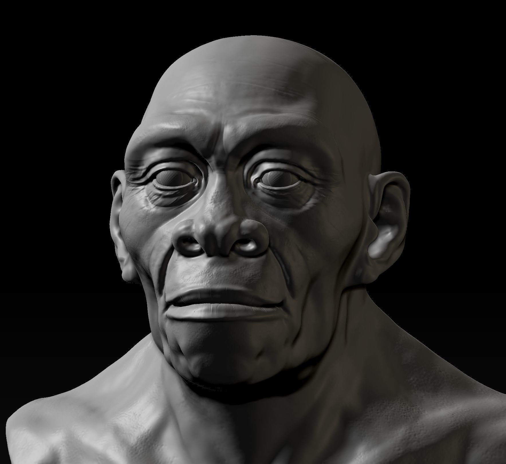 Homo erectus 3D print model_2
