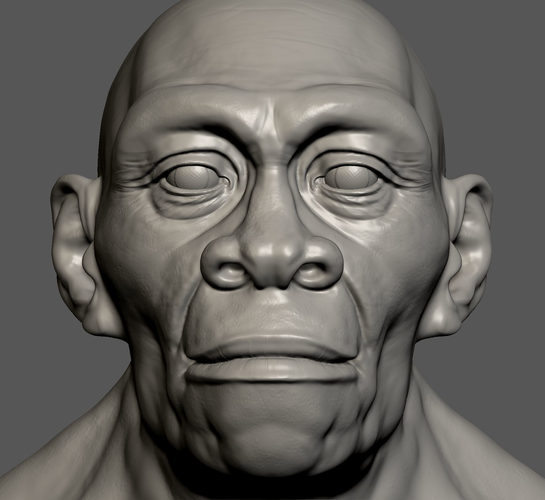 Homo erectus 3D print model_10