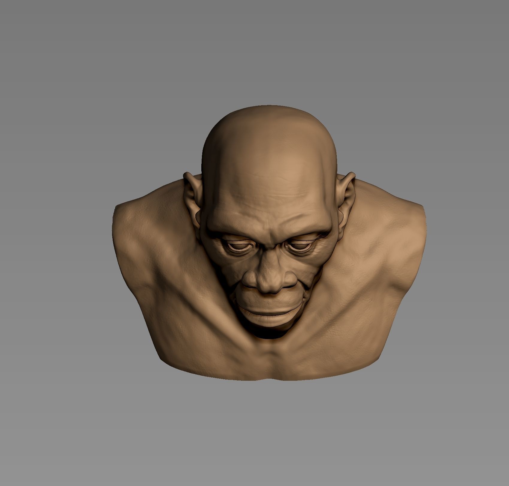 Homo erectus 3D print model_6