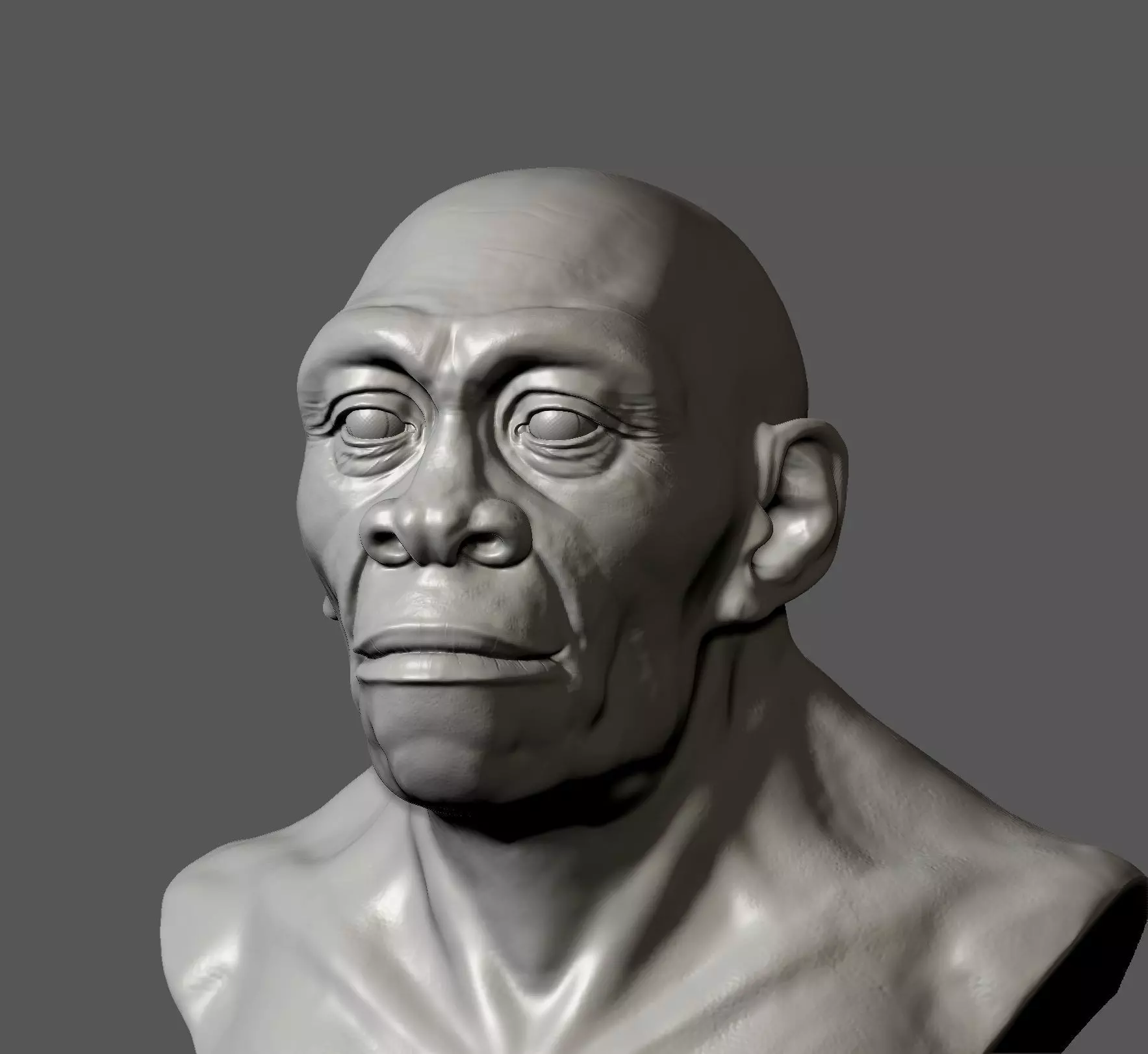 Homo erectus 3D print model_0