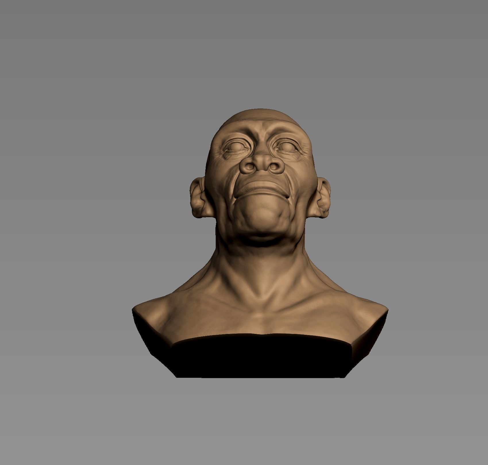 Homo erectus 3D print model_7