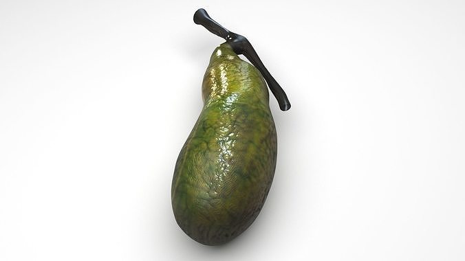 Gallbladder 3D model