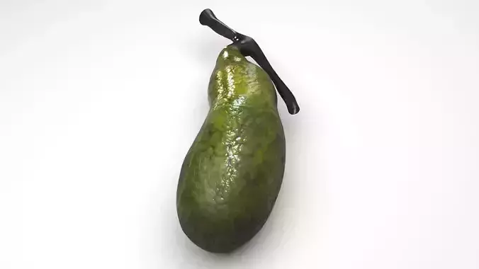 Gallbladder 3D model