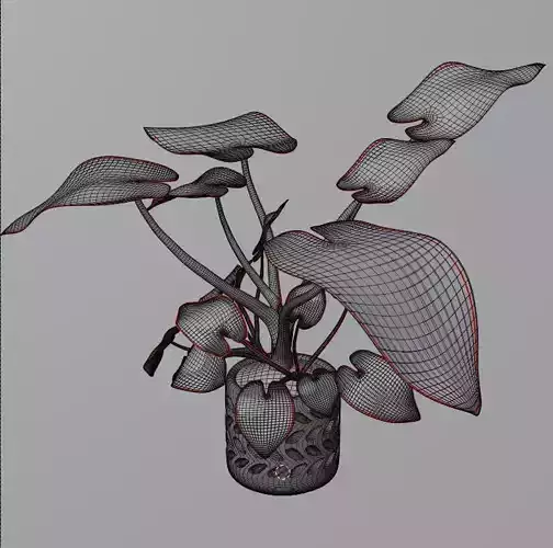 free caladium anthurium plants Free 3D model
