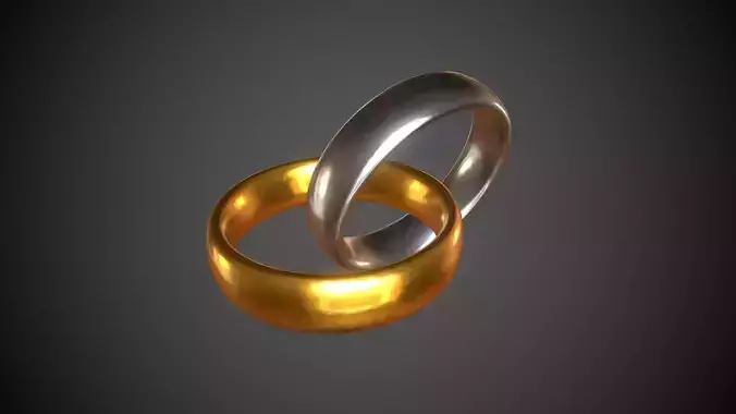 Rings Gold and Silver Ring