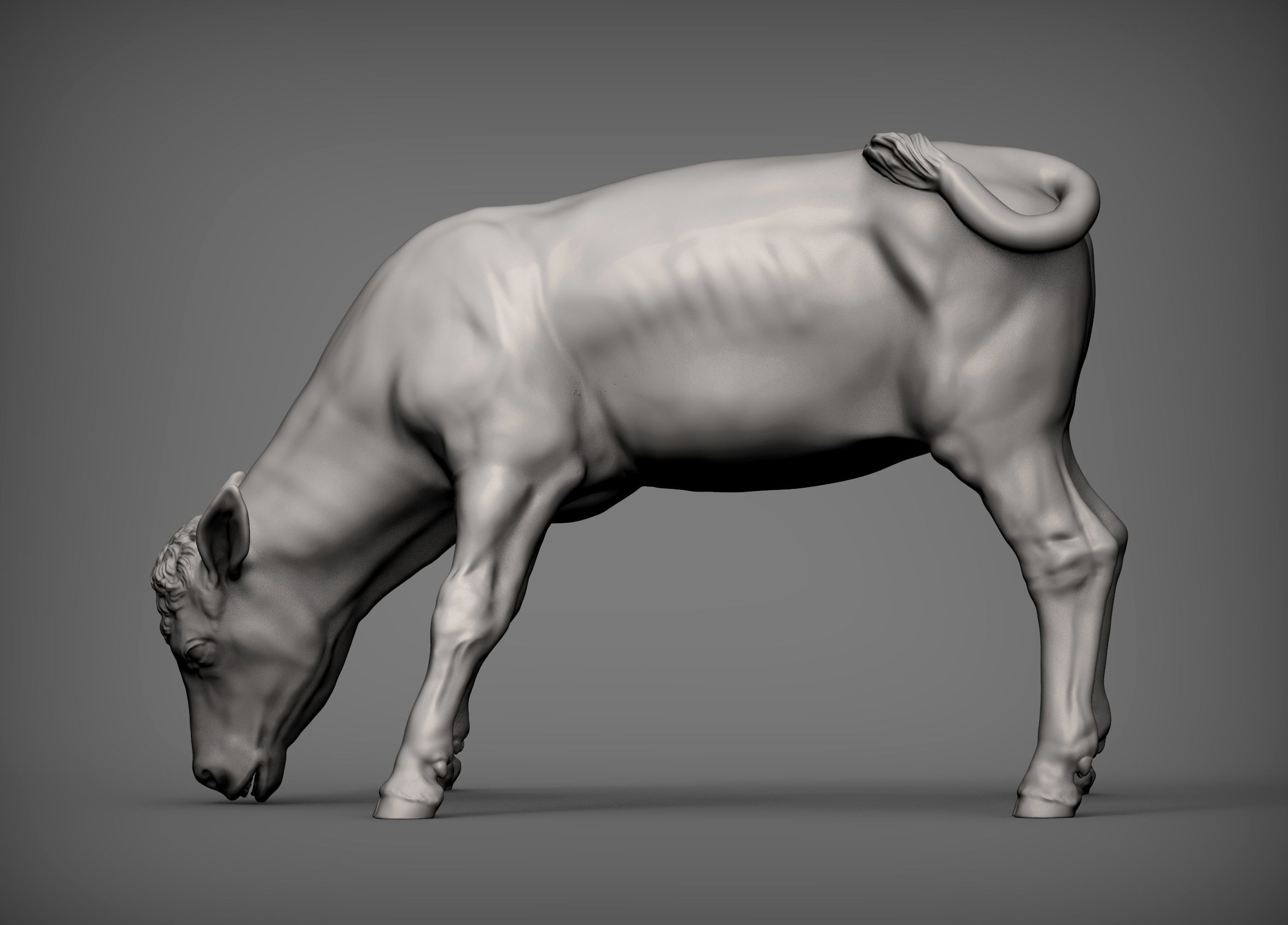 Calf 3D print model cow 3D print model_2