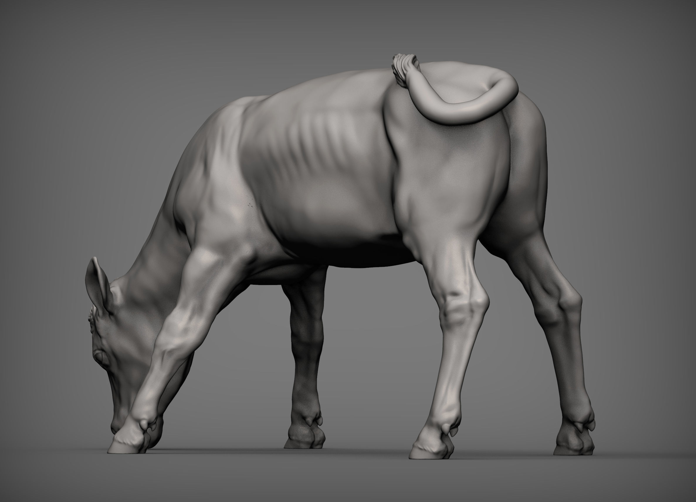 Calf 3D print model cow 3D print model_3