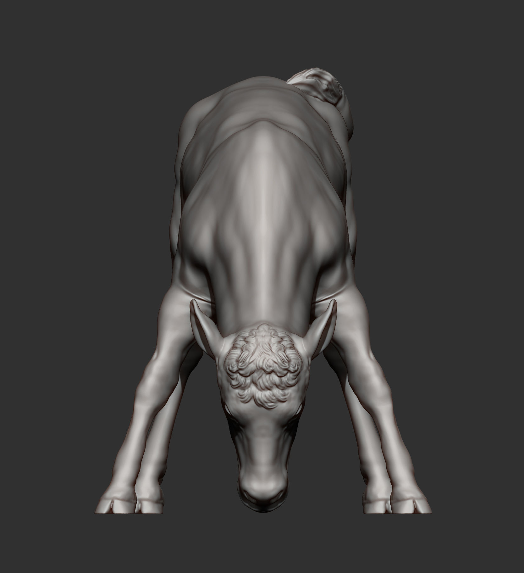 Calf 3D print model cow 3D print model_8