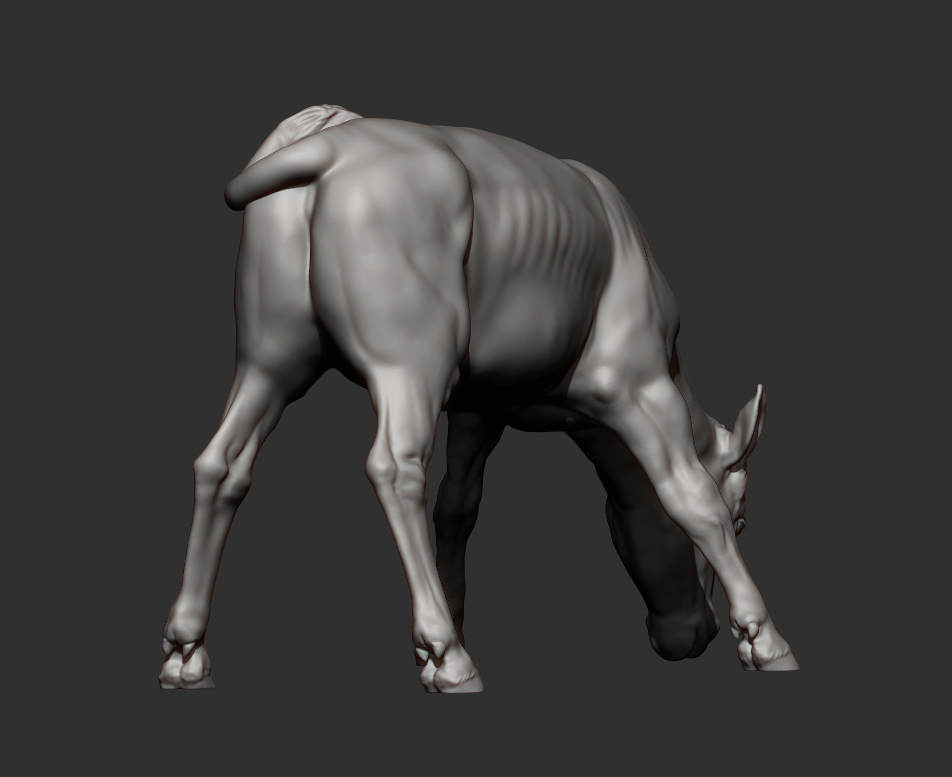 Calf 3D print model cow 3D print model_11