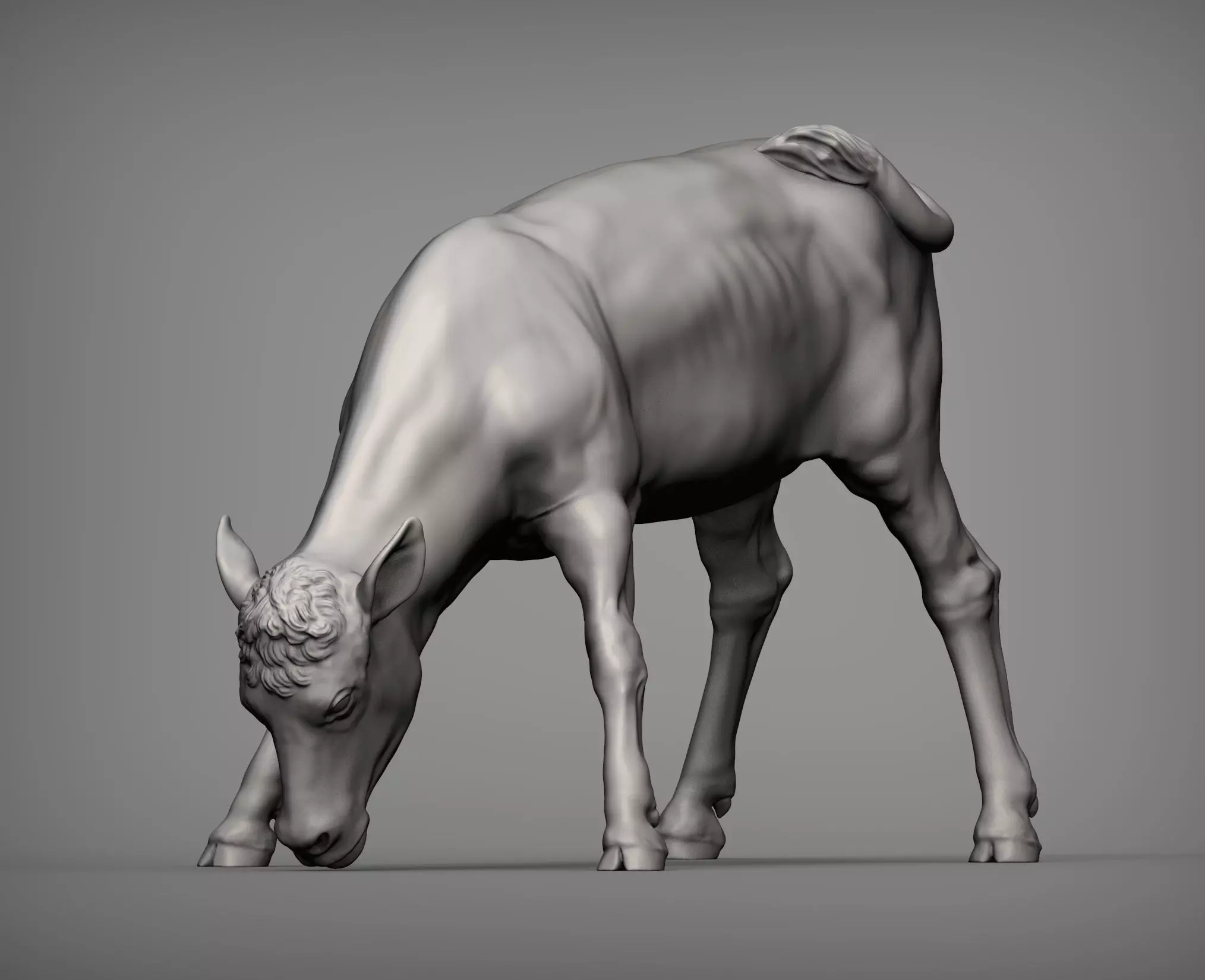 Calf 3D print model cow 3D print model_0