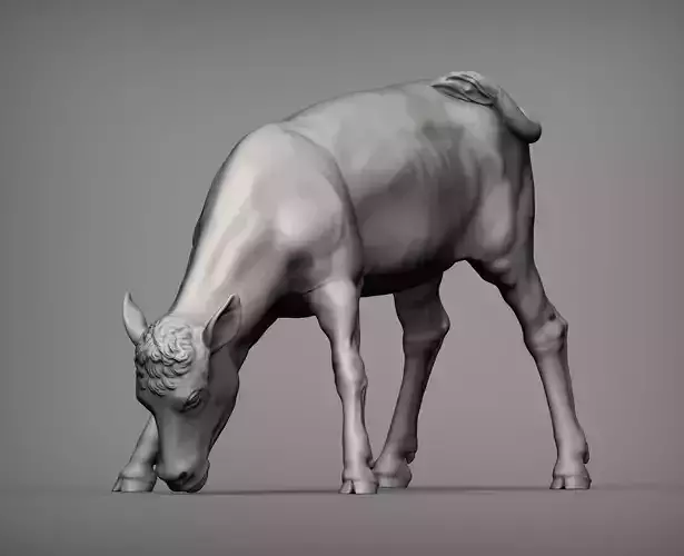 Calf 3D print model cow