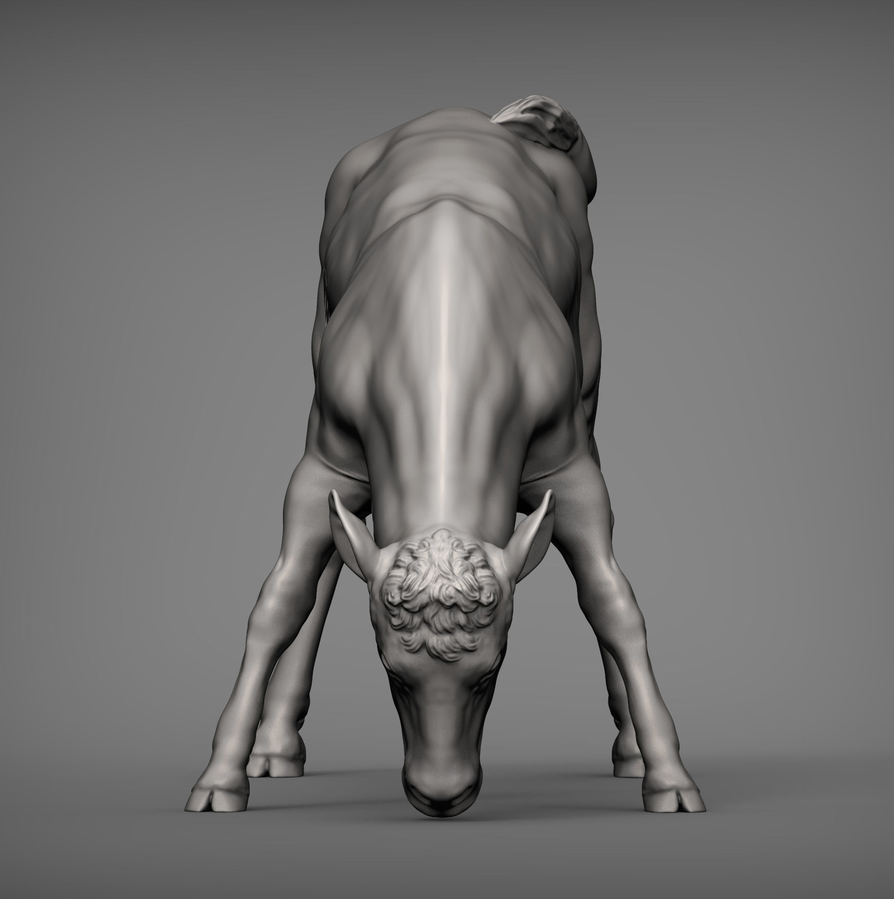 Calf 3D print model cow 3D print model_4