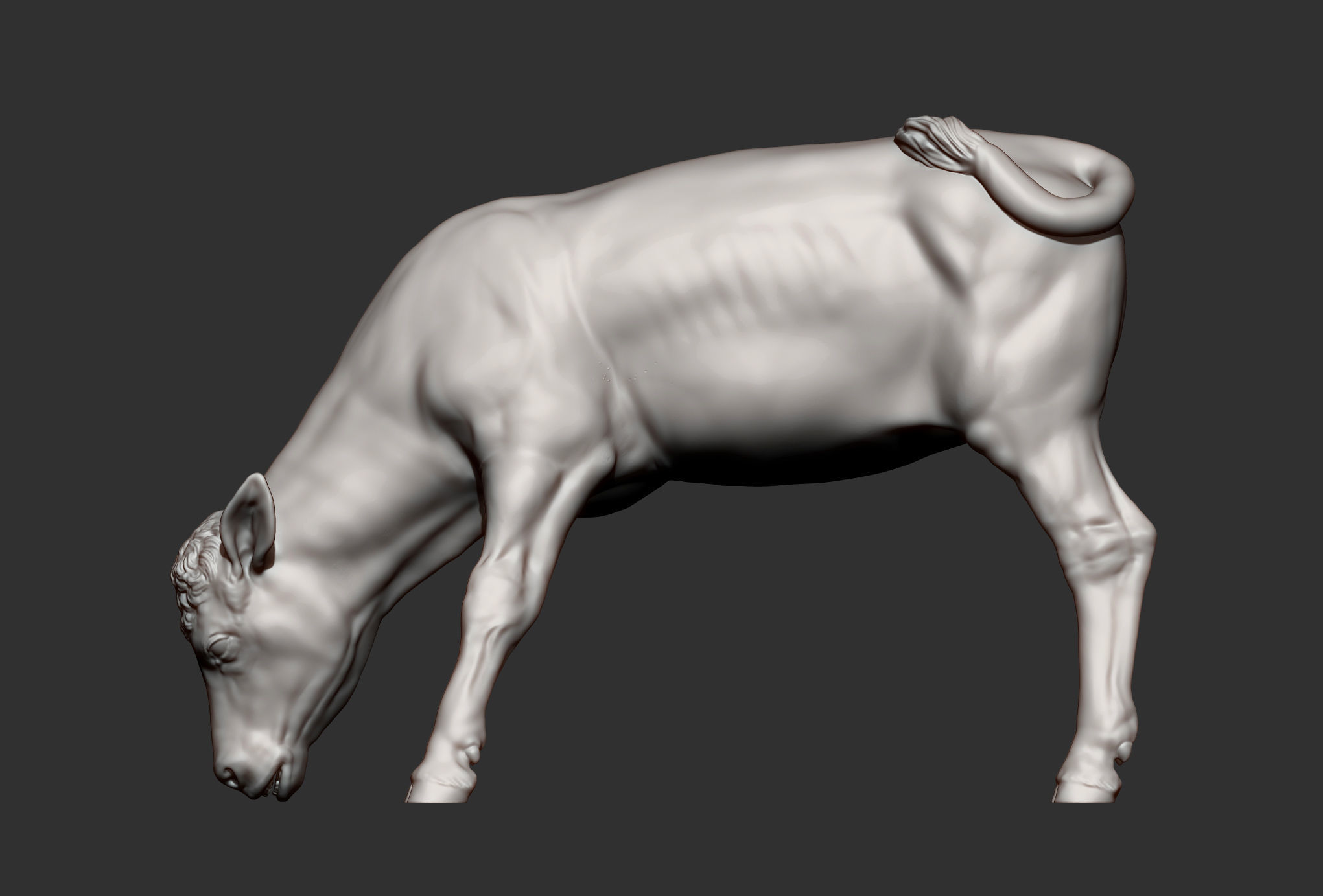 Calf 3D print model cow 3D print model_12