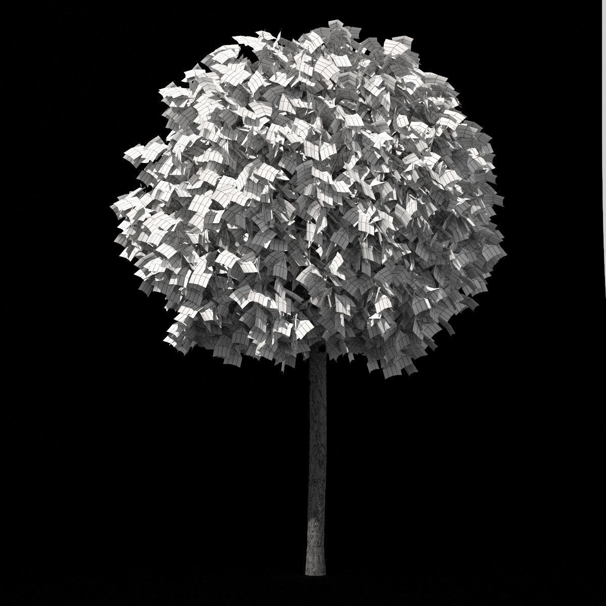 Platanus acerifolia Alphens Globe 3D model_3