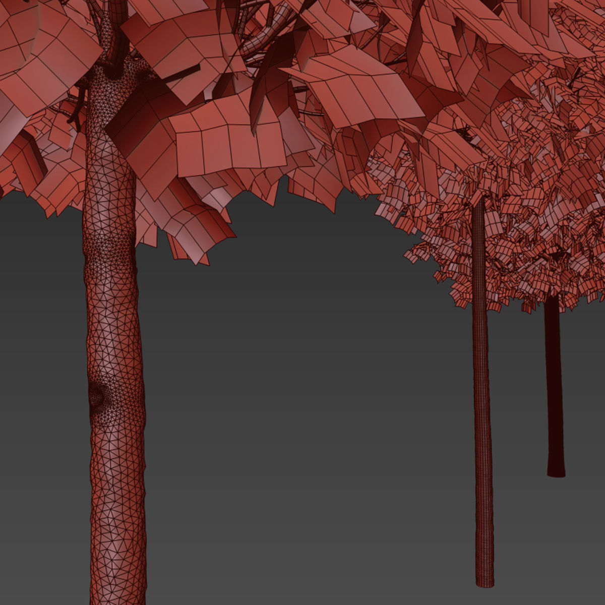 Platanus acerifolia Alphens Globe 3D model_1