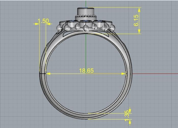 Ring Model 1930 3D print model_6