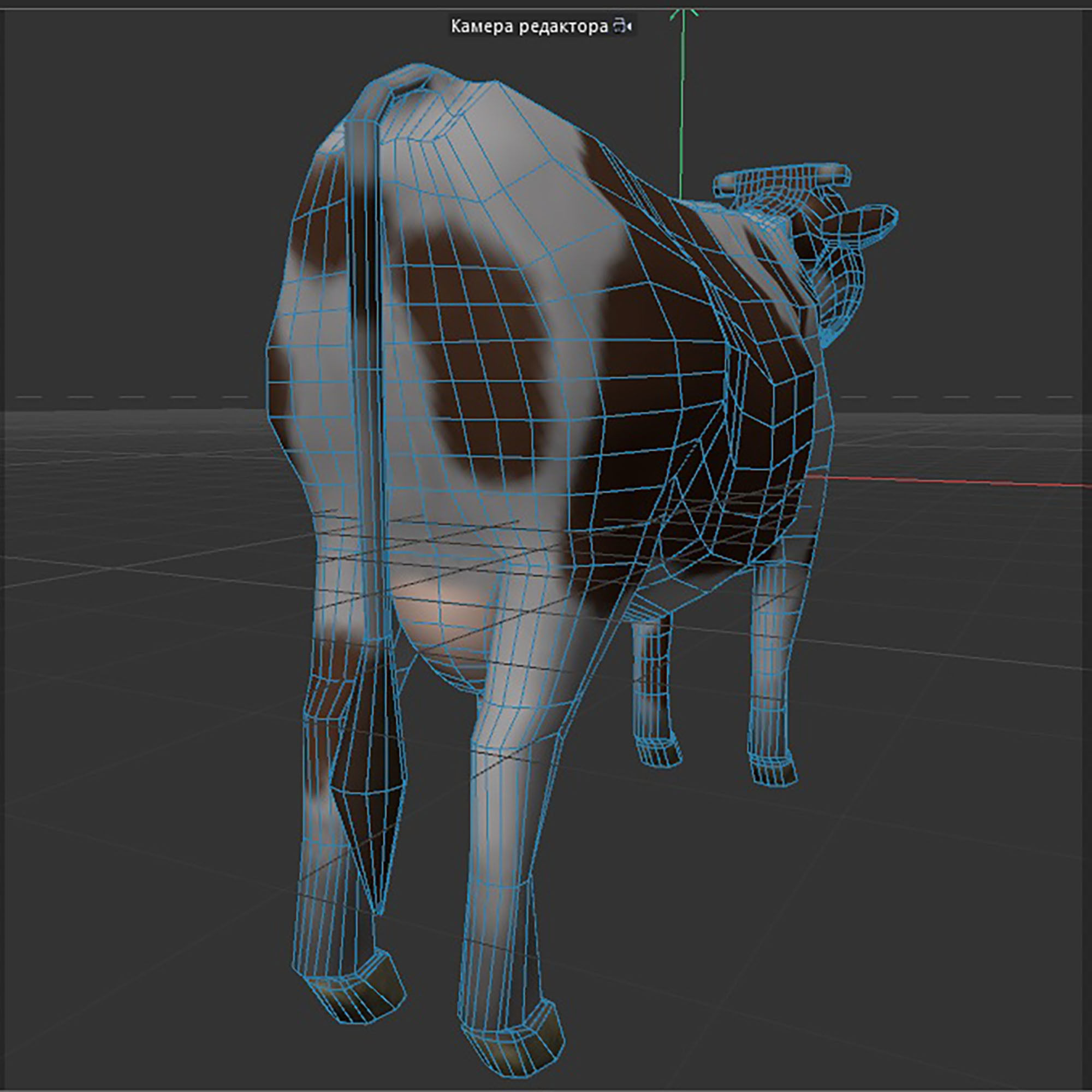  brown and white cow Low-poly 3D model_9