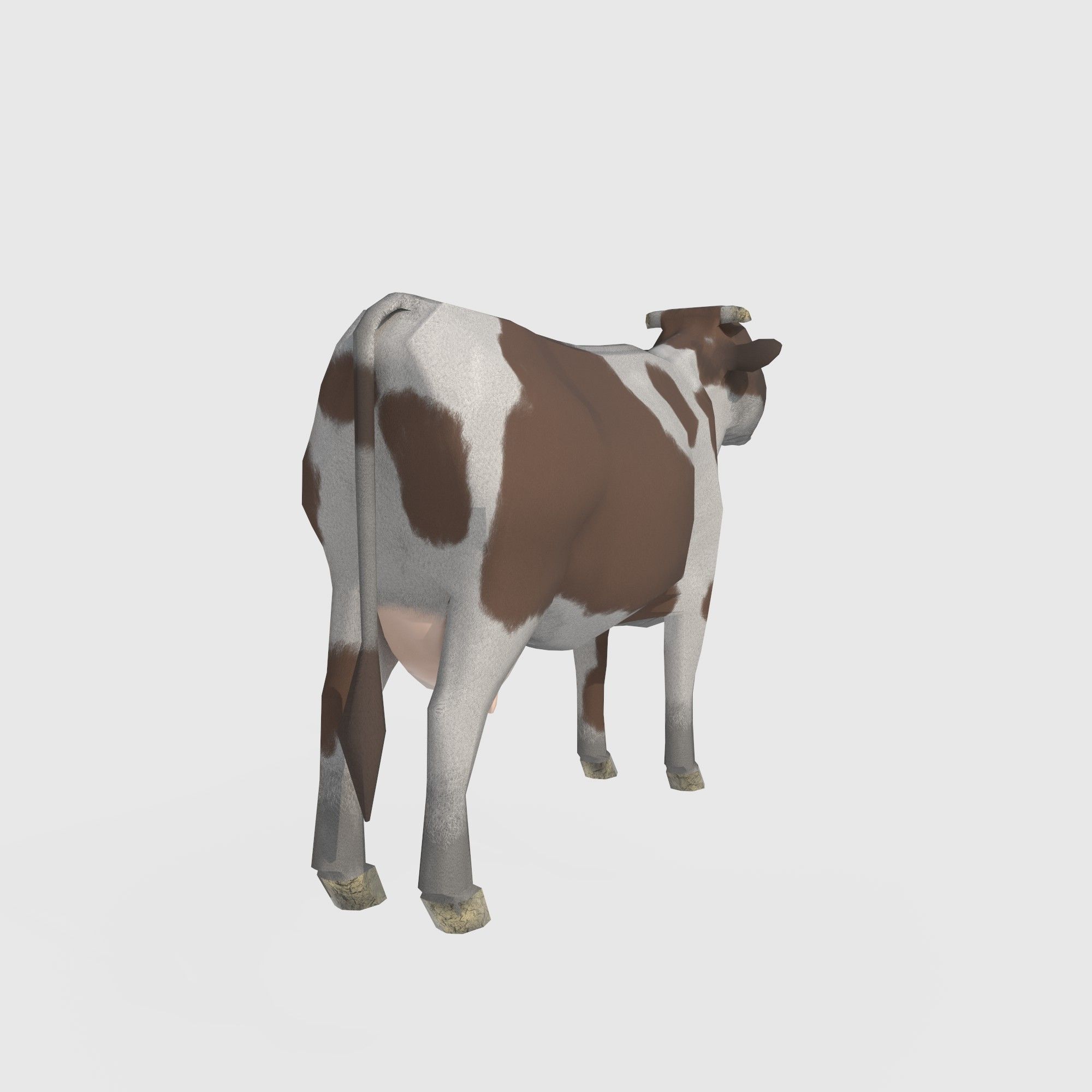  brown and white cow Low-poly 3D model_2
