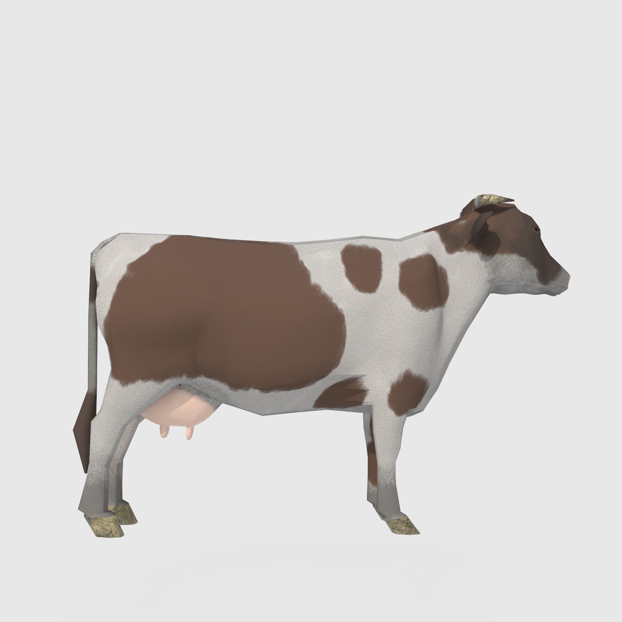  brown and white cow Low-poly 3D model_1