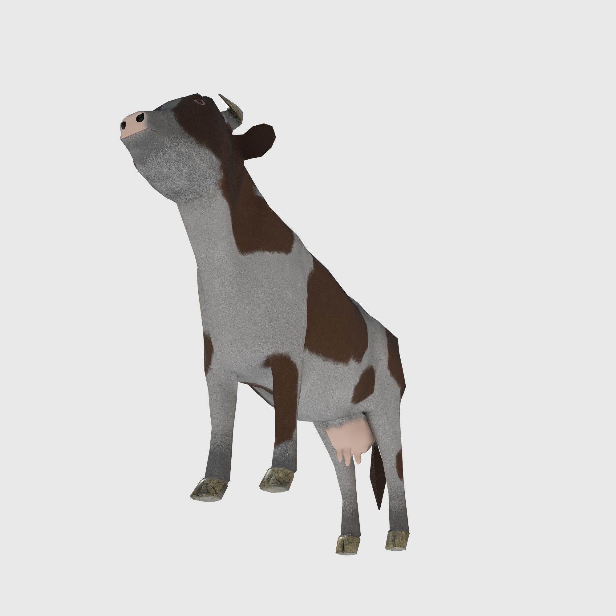  brown and white cow Low-poly 3D model_4