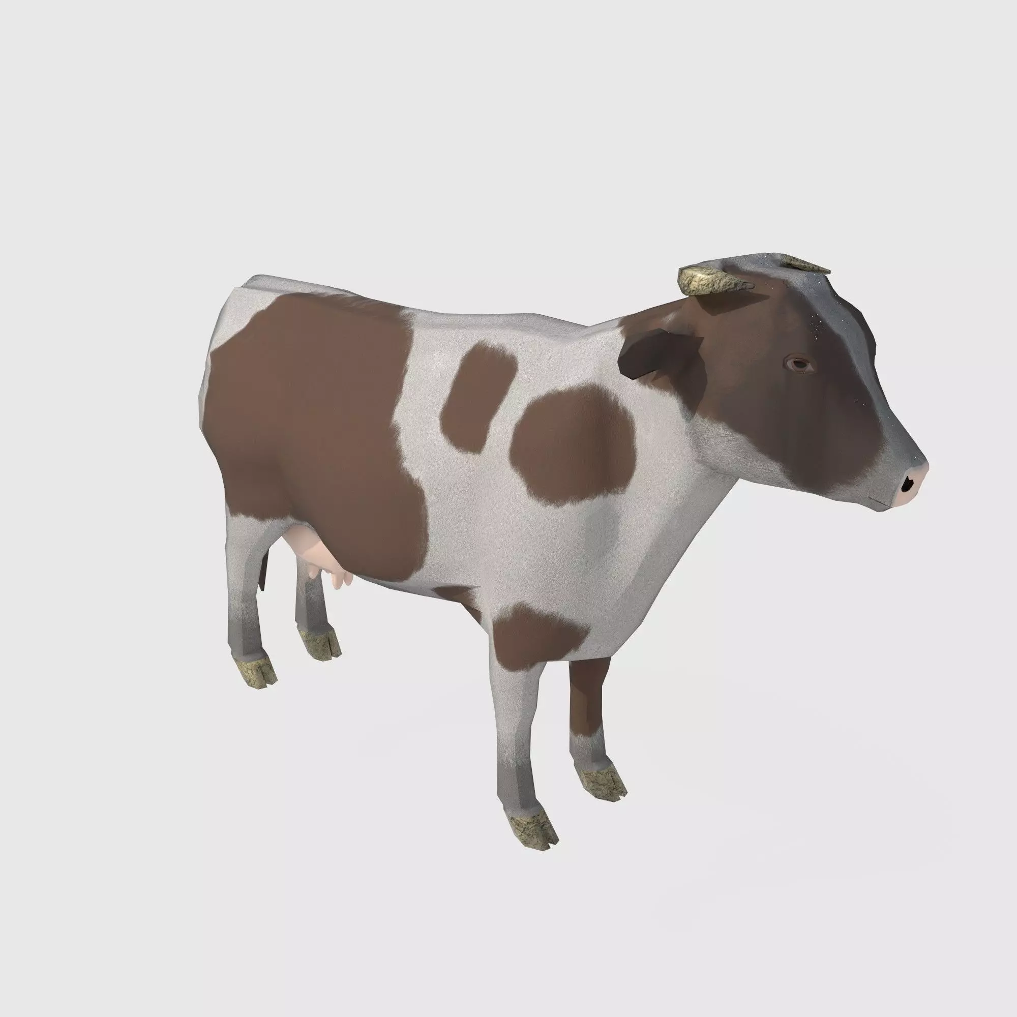  brown and white cow Low-poly 3D model_0