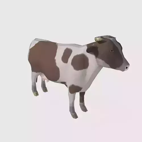  brown and white cow