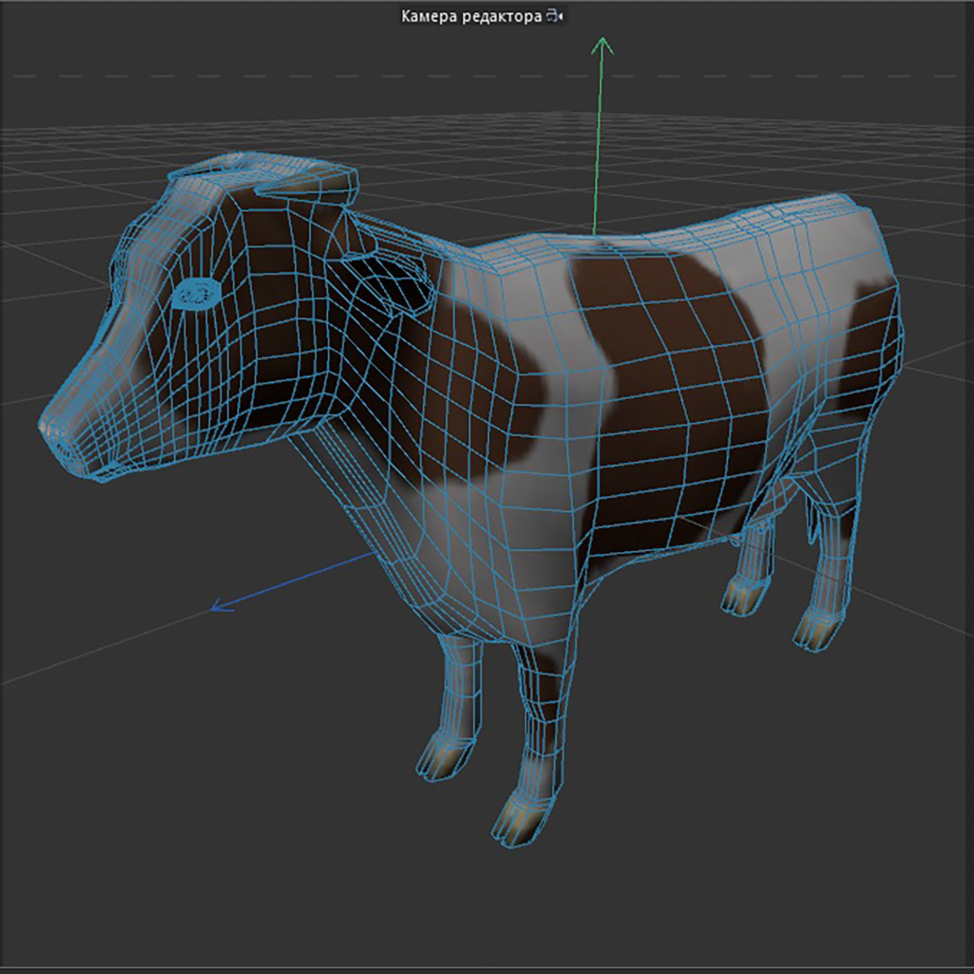  brown and white cow Low-poly 3D model_6