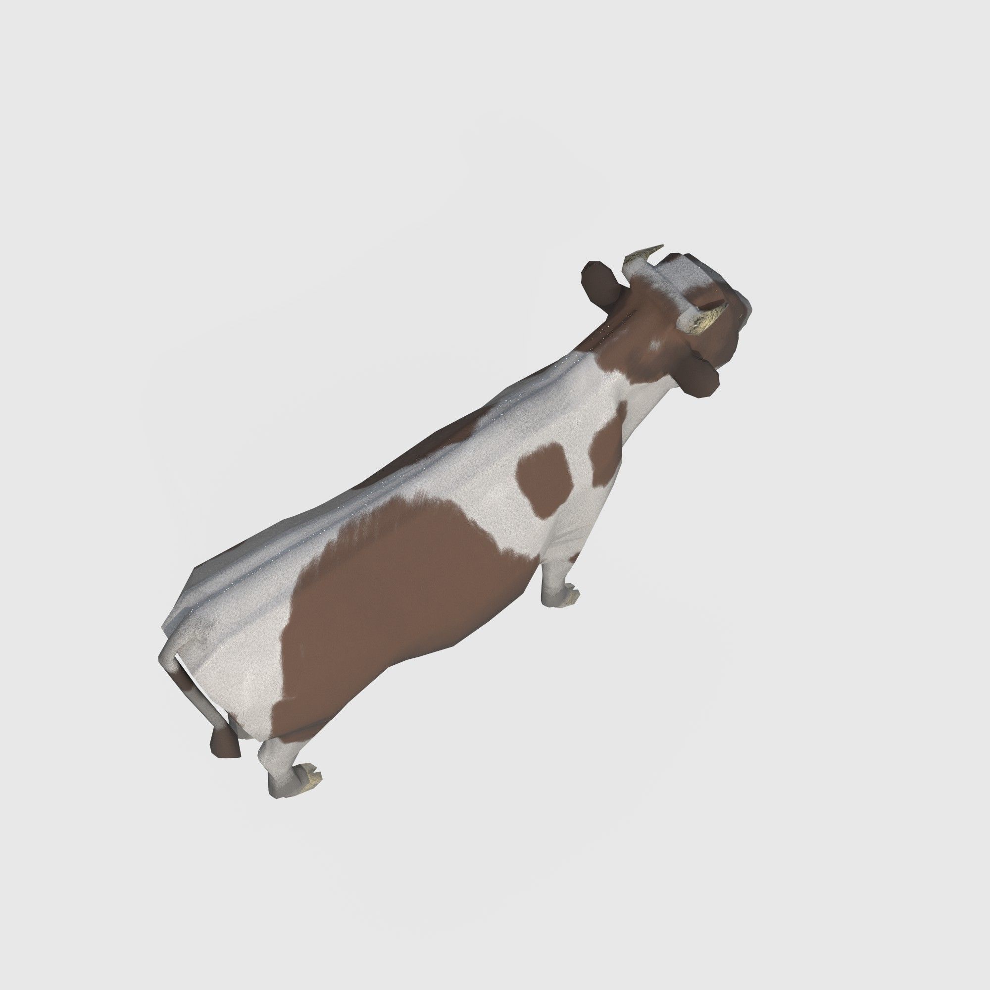  brown and white cow Low-poly 3D model_3