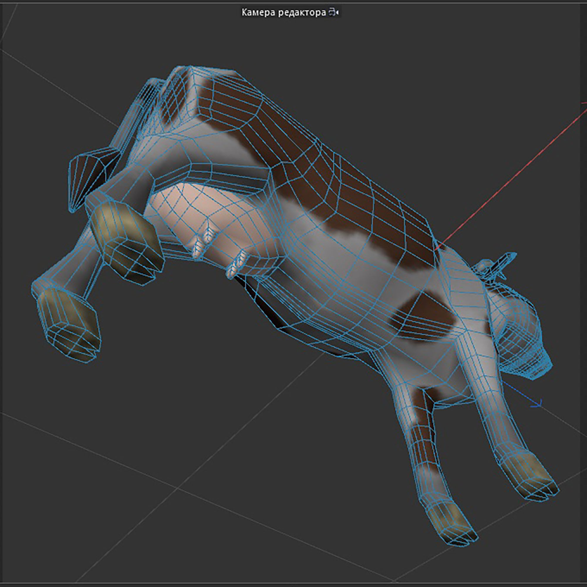  brown and white cow Low-poly 3D model_10
