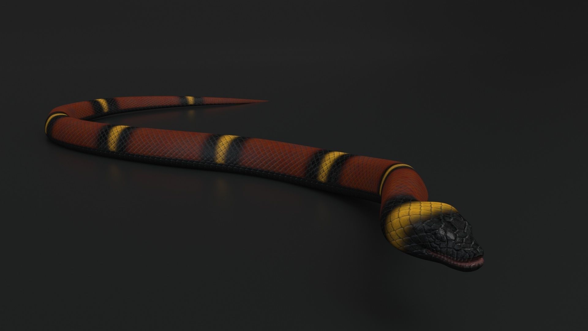 Snake Rigged and Animated 3D model_6