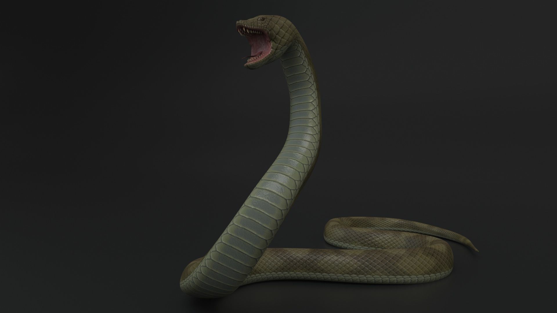 Snake Rigged and Animated 3D model_4