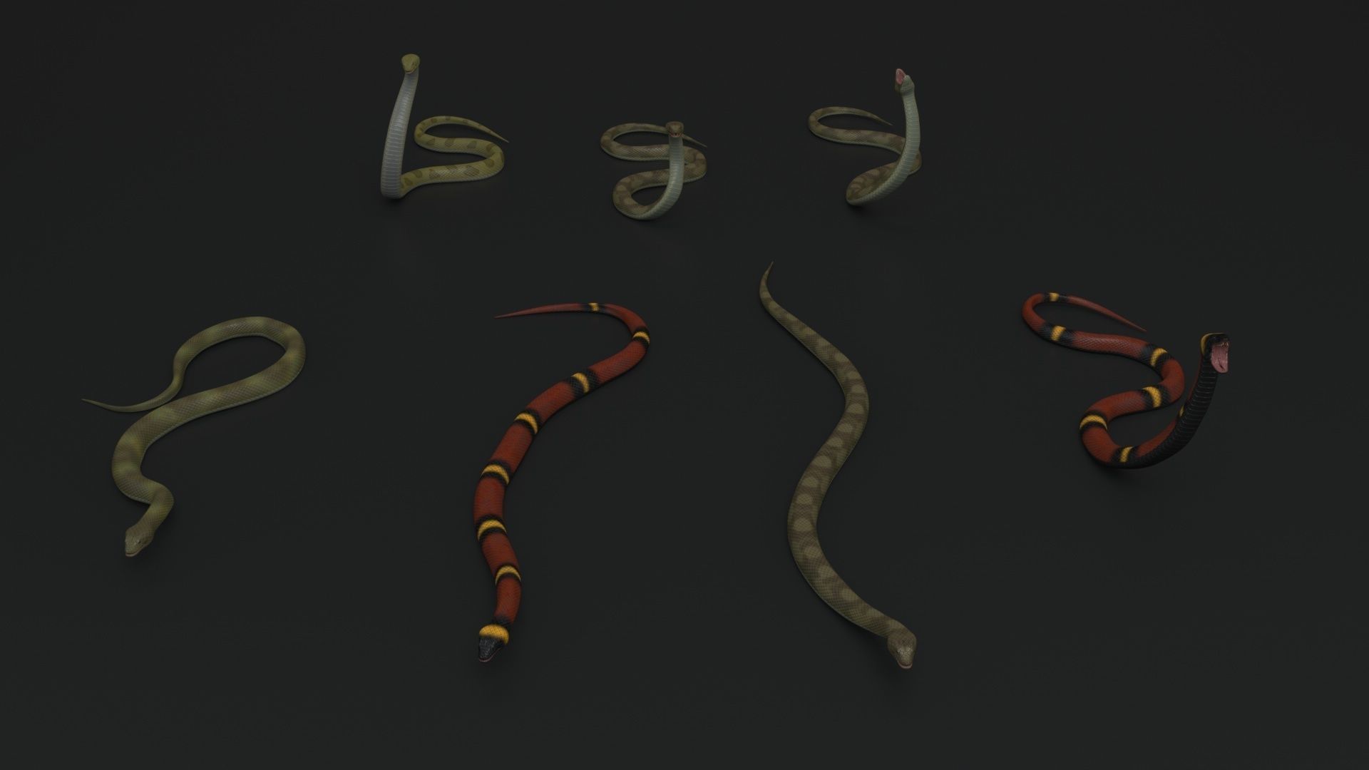 Snake Rigged and Animated 3D model_2