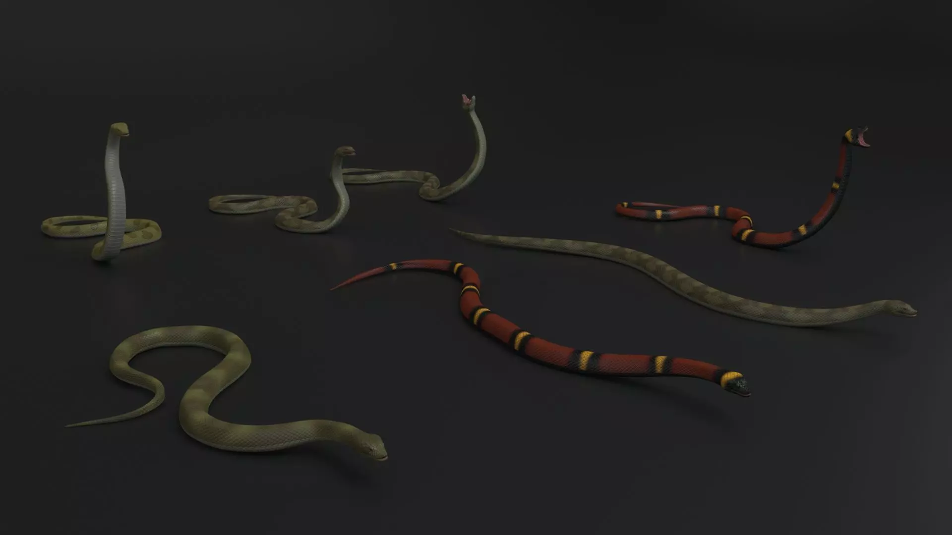 Snake Rigged and Animated 3D model_0
