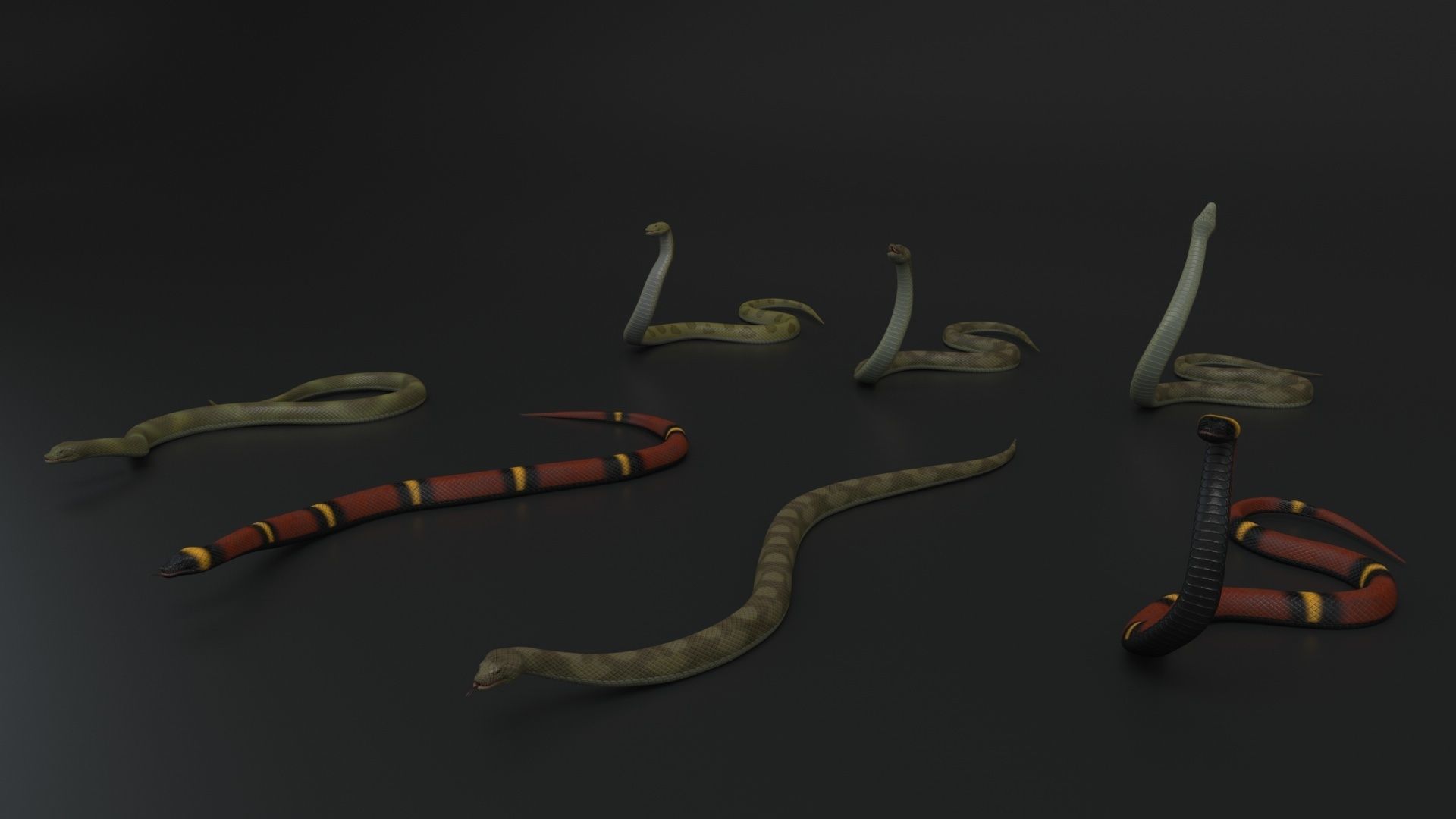 Snake Rigged and Animated 3D model_3
