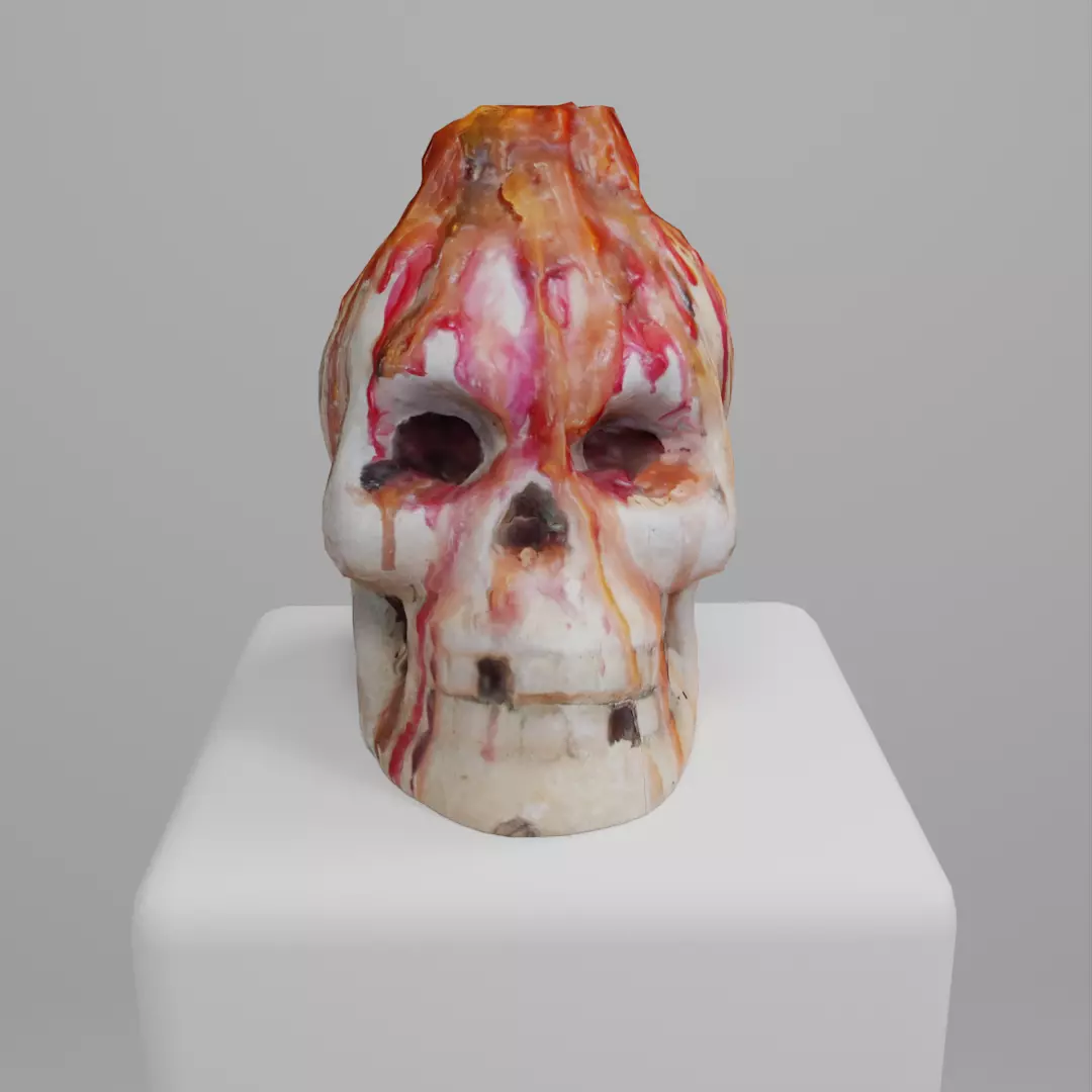 Skull Candle Photoscan 3D model_0