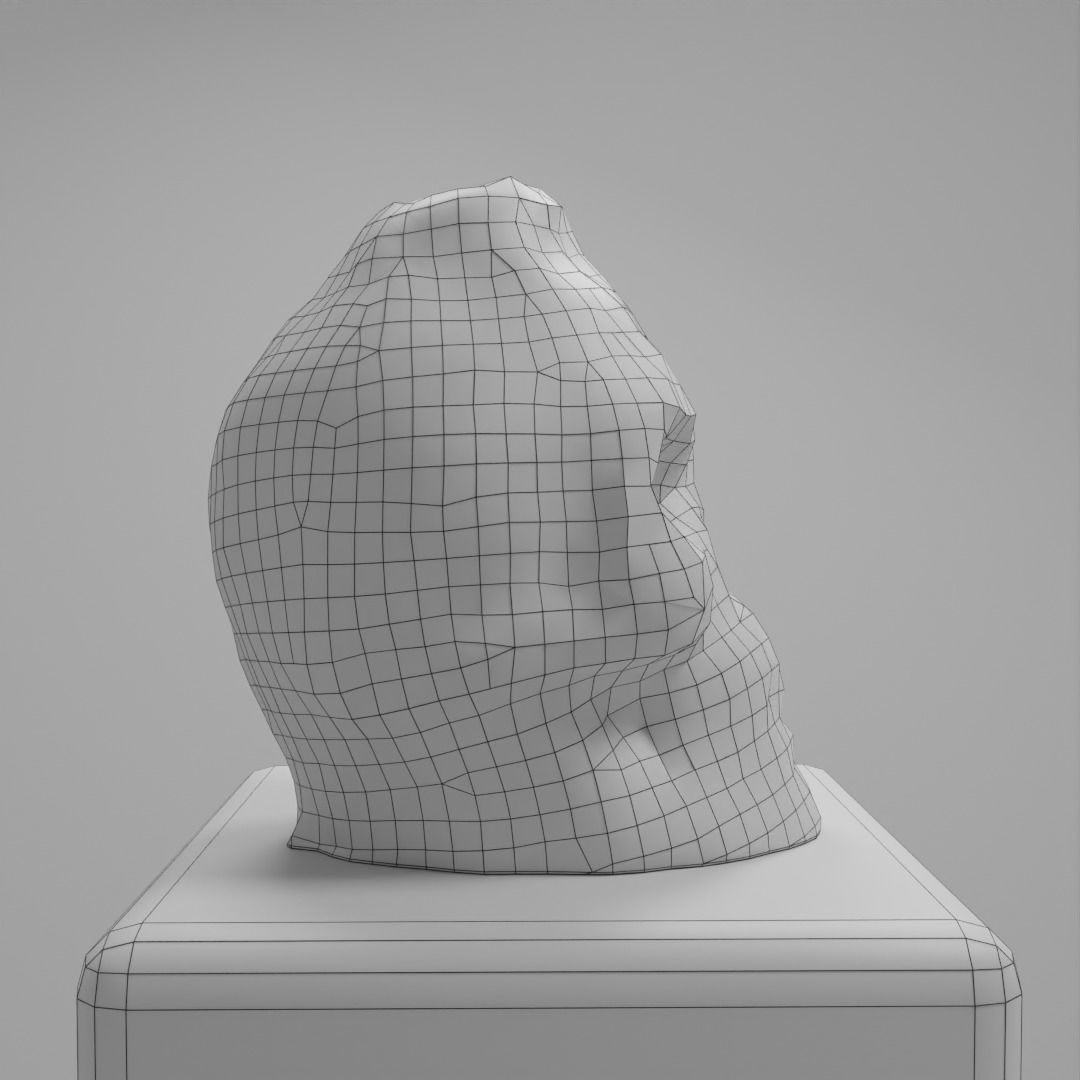 Skull Candle Photoscan 3D model_5