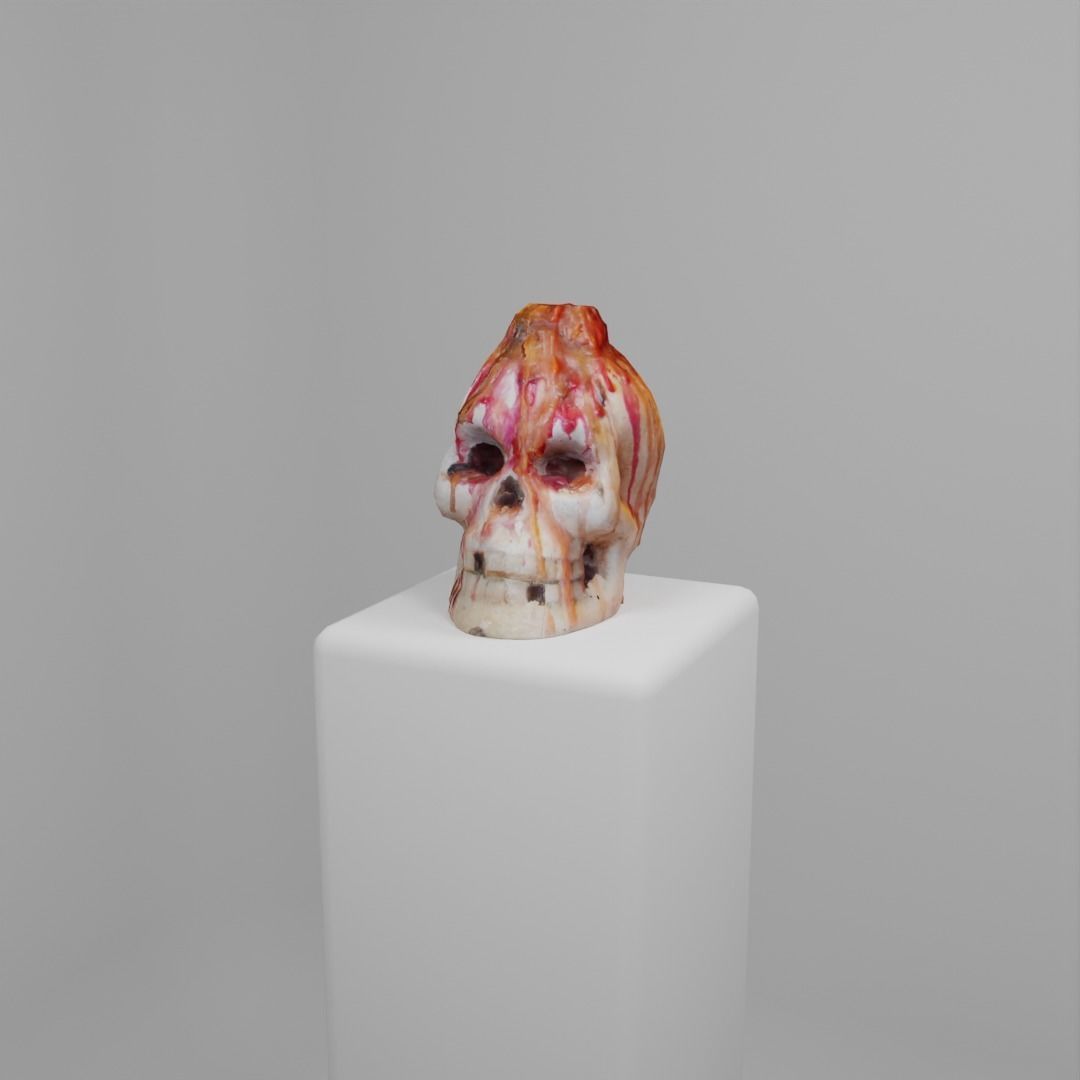 Skull Candle Photoscan 3D model_8